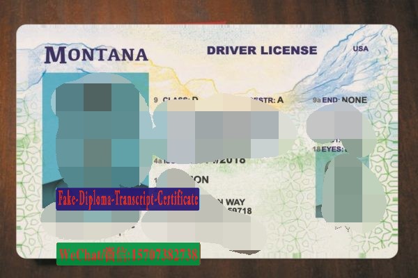 Order Fake Montana Drivers License