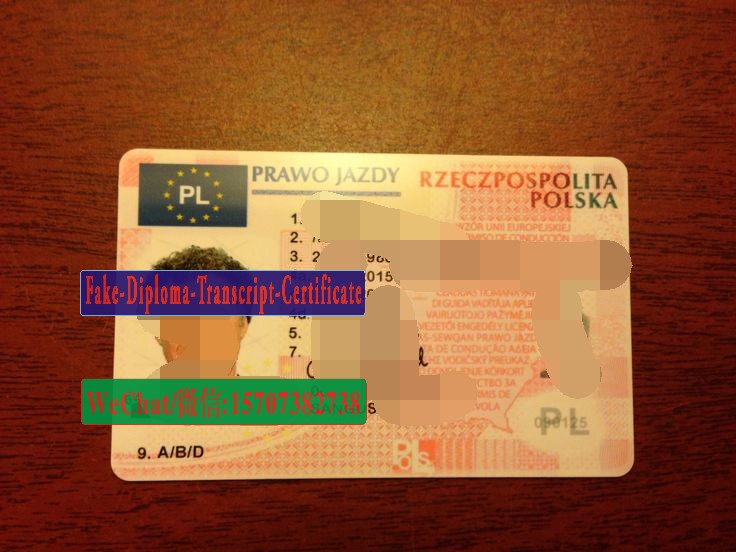 Order Fake Polish driving license