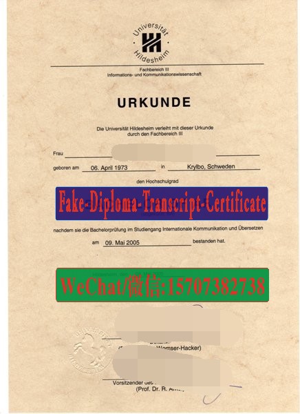 Order Fakes Universitat Hildesheim Diploma