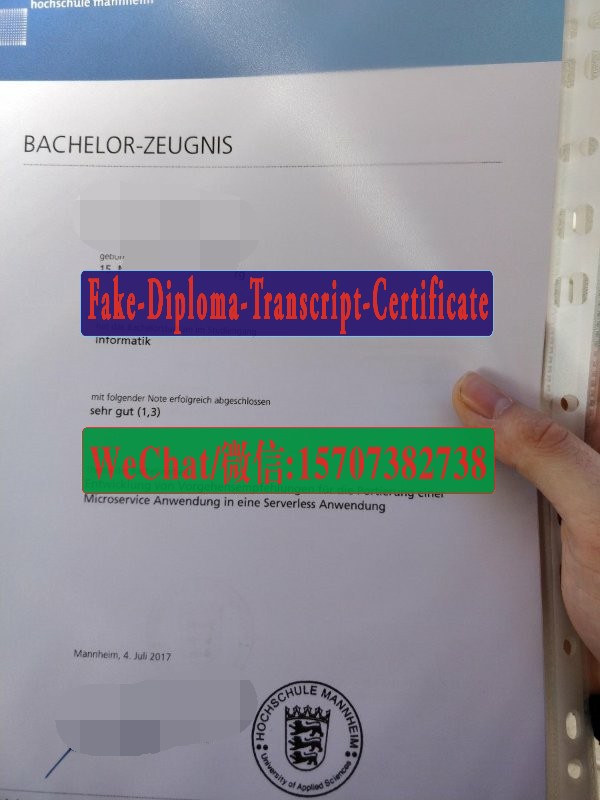 Order Fakes University of Mannheim Diploma