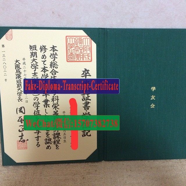 Osaka Seikei University Diploma Certificate