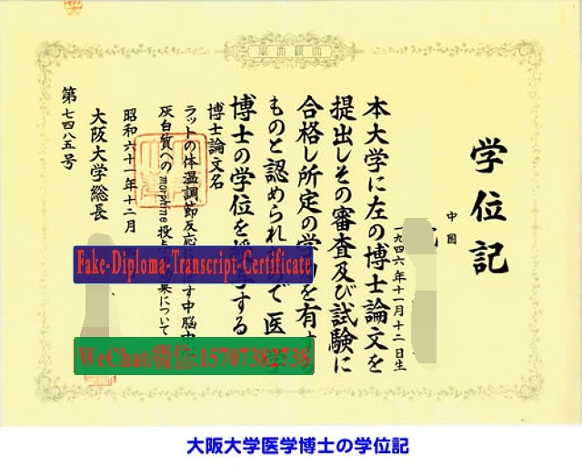 Osaka University Diploma Certificate