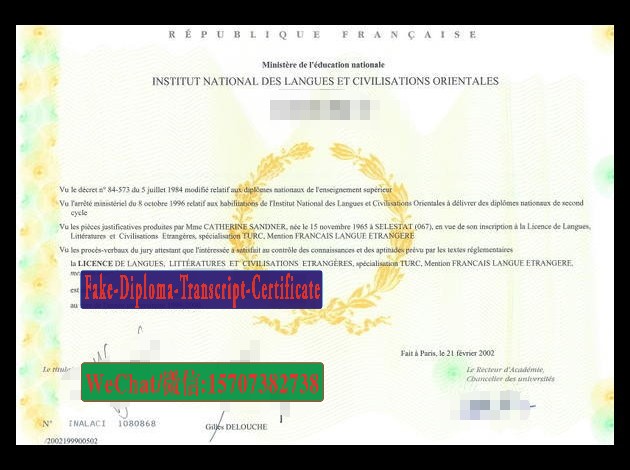 Replica Fake INALCO Institut National Des Langues Et Civilisation Orientales Diploma