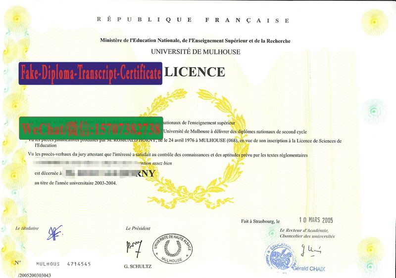 Replica Fake UNIVERSITE DE MULHOUSE Diploma