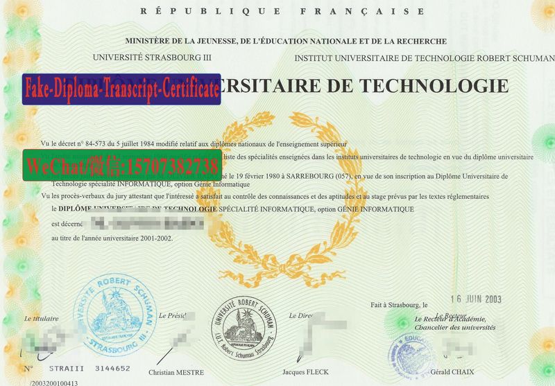 Replica Fake UNIVERSITE DE STRASBOURG III Diploma