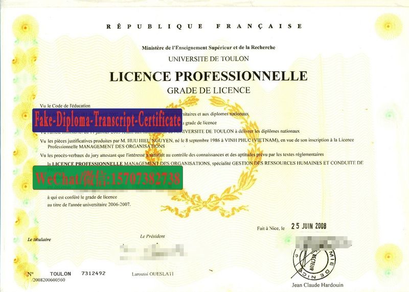 Replica Fake UNIVERSITE DE TOULON Diploma