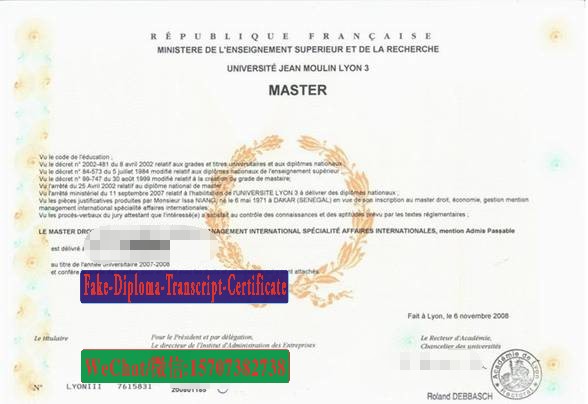 Replica Fake Université Jean Moulin Lyon 3 Diploma