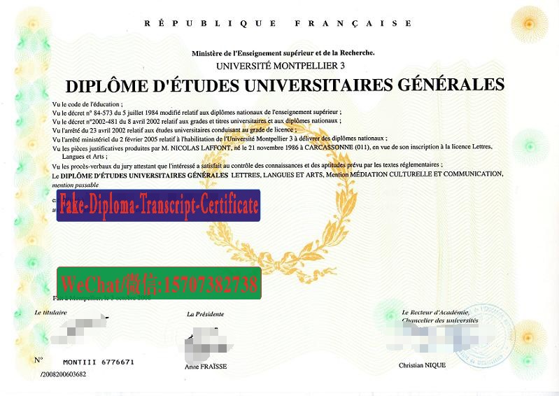 Replica Fake Université Montpellier 3)DEUG Diploma