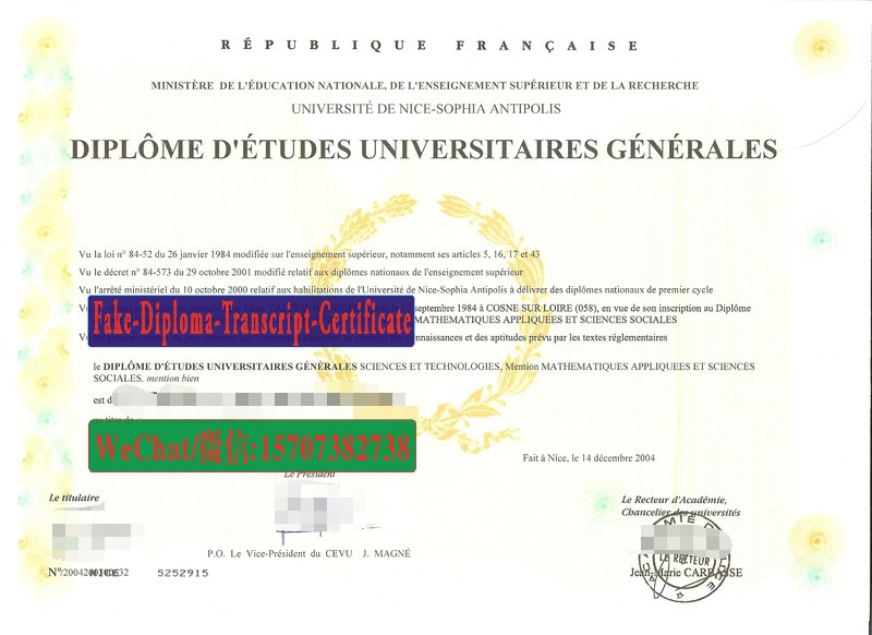 Replica Fake Université Nice Sophia Antipolis Diploma