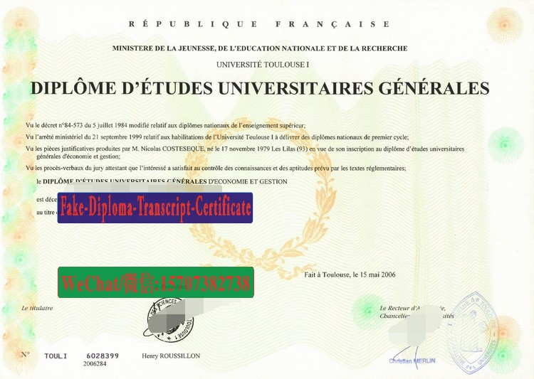 Replica Fake Université Toulouse 1 Diploma