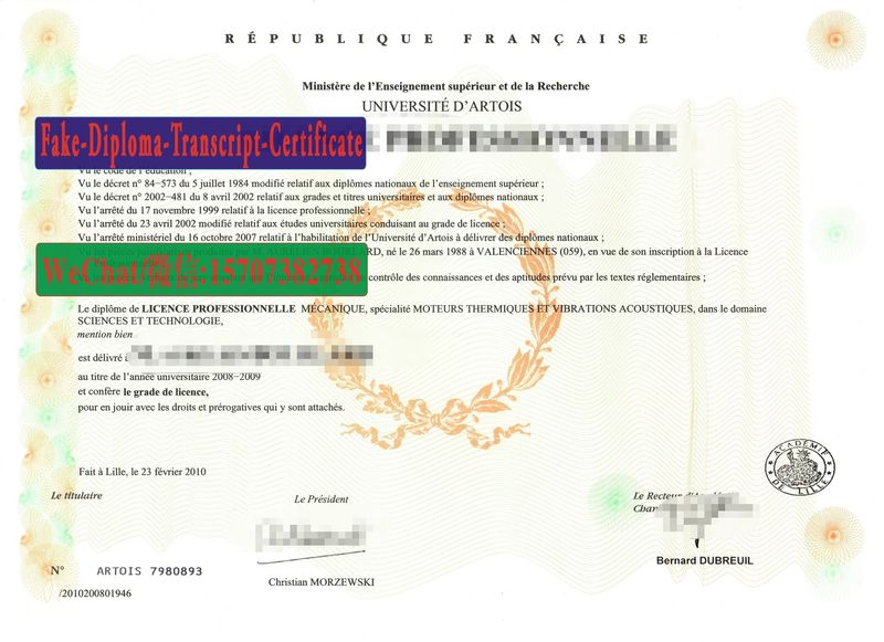 Replica Fake Université dArtois Diploma