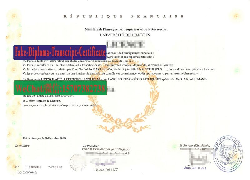 Replica Fake Université de Limoges Diploma