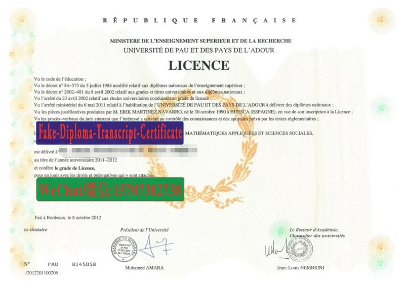 Replica Fake Université de Pau et de lAdour Diploma