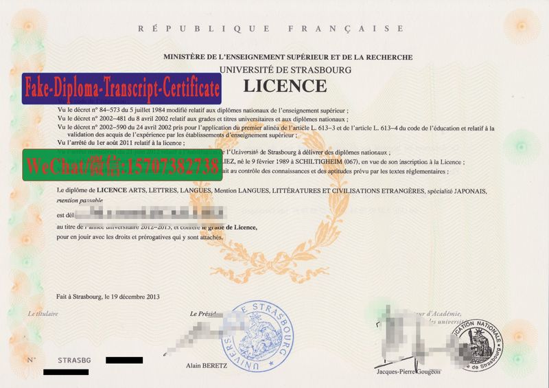 Replica Fake Université de Strasbourg Diploma