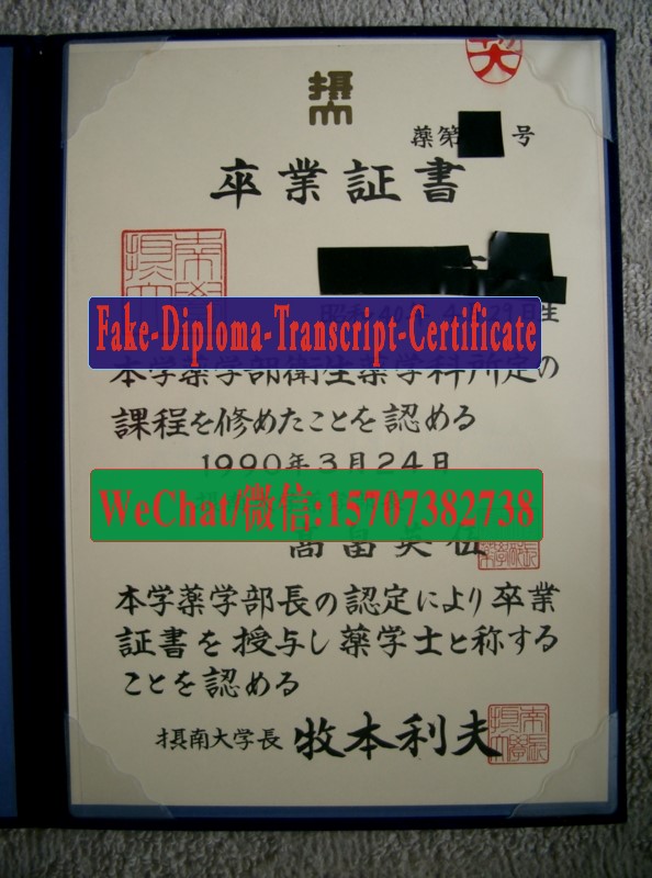 Setsunan University Diploma Certificate