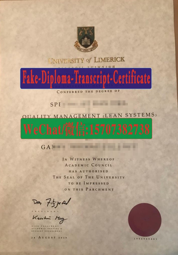 The University of Limerick Diploma Original Sample