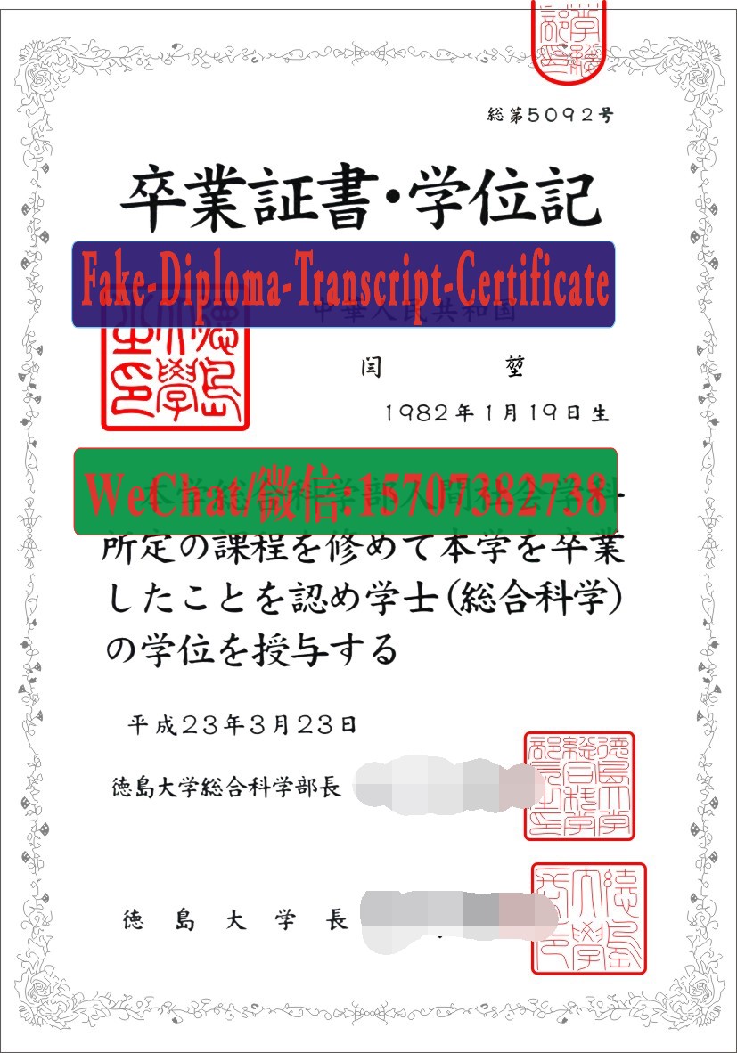 The University of Tokushima Diploma Certificate