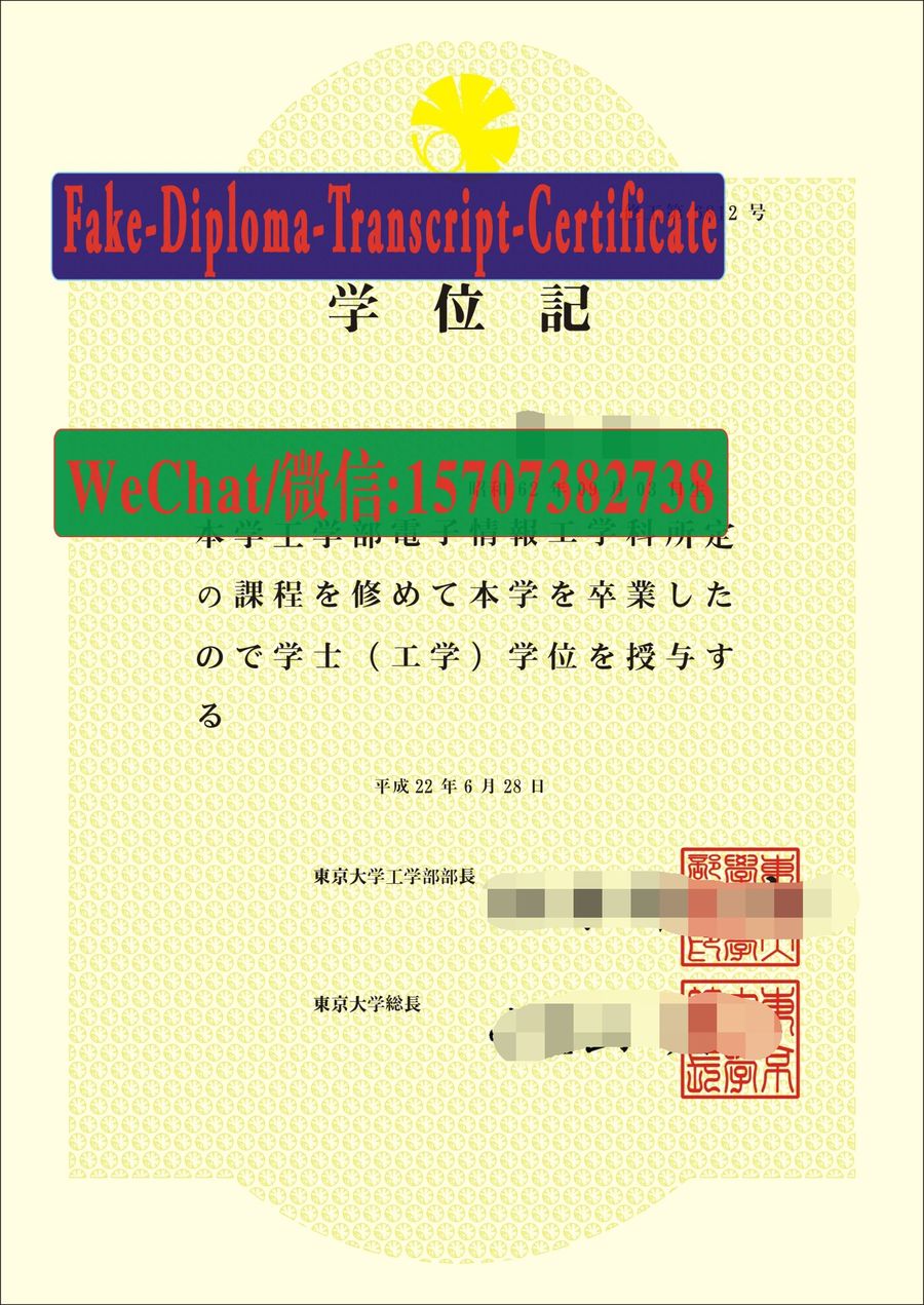 The University of Tokyo Diploma Certificate