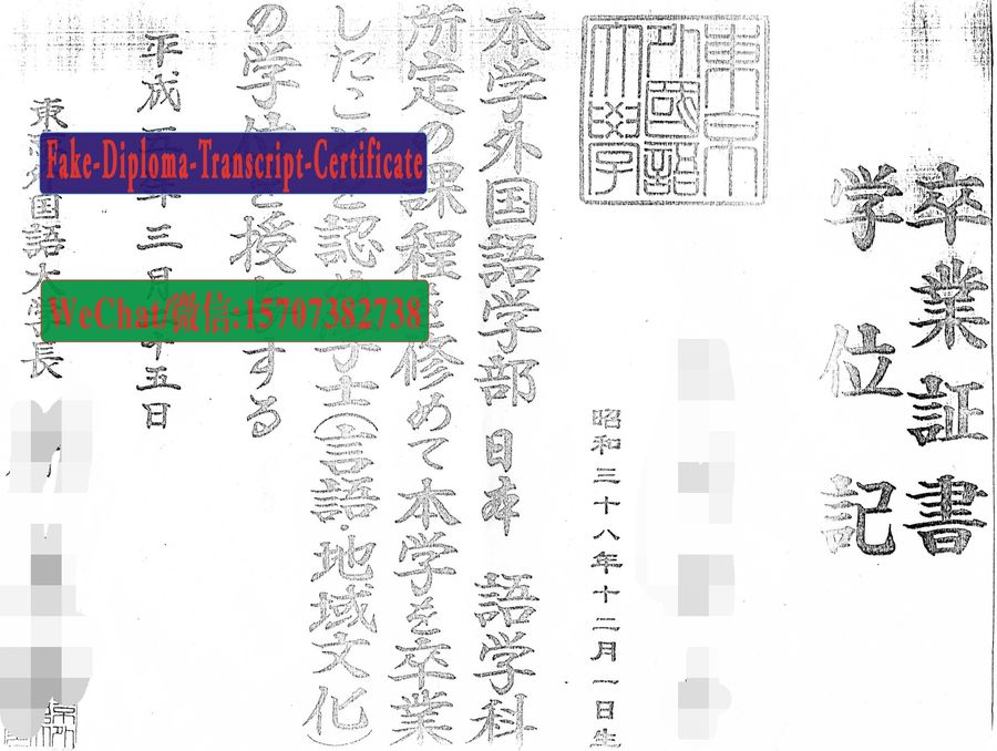 Tokyo University of Foreign Studies Diploma Certificate