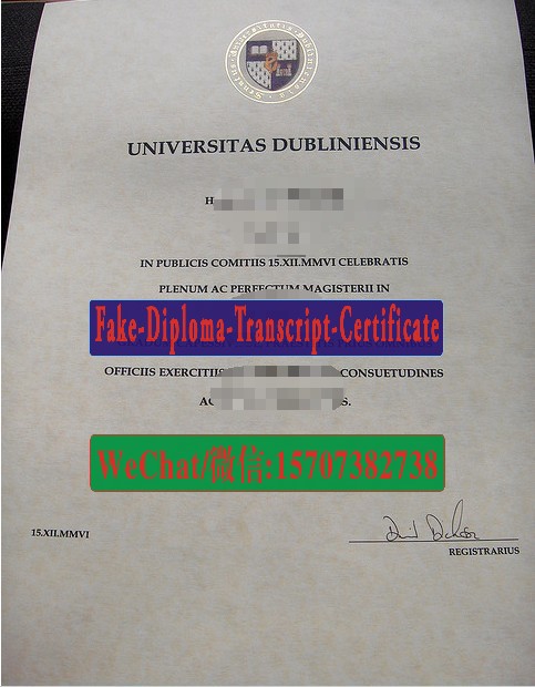 Trinity College Dublin Diploma Original Sample