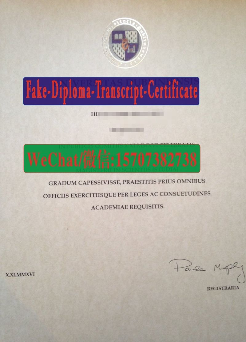 University of Dublin Diploma Original Sample