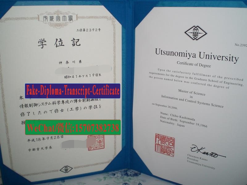 Utsunomiya university Diploma Certificate