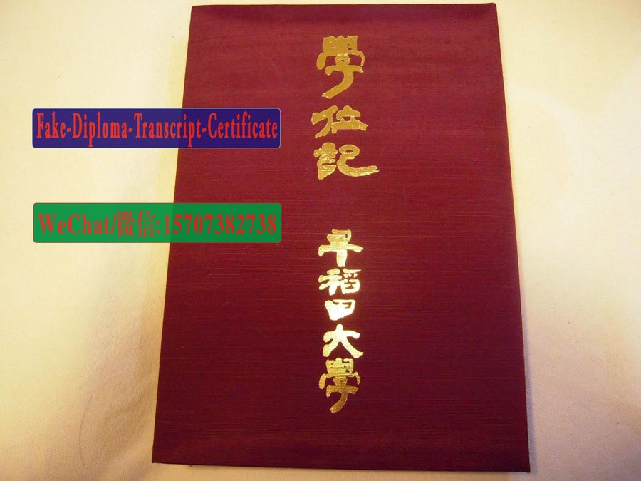 Waseda University Diploma Certificate